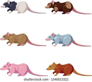 Set of illustrations with different types of rats. This animal symbol of 2020.