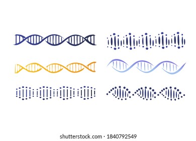 Set of illustrations of DNA on a white background. Modern illustration of a macromolecule, genetic program. Laboratory studies.