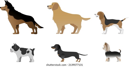 set of illustrations of dog
