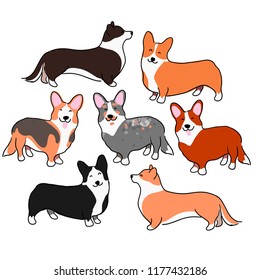 A set of illustrations of dogs. Dogs of the breed welsh corgi cardigan and welsh corgi pembroke. Lovely illustrations of decorative dogs. Milie saaki look like a chanterelle.