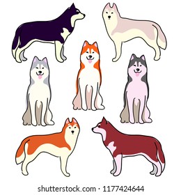 A set of illustrations of dogs. Dogs of Laika, Siberian Husky, Alaskan Malamute. Lovely illustration of sled dogs.