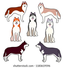 A set of illustrations of dogs. Dogs of Laika, Siberian Husky, Alaskan Malamute. Lovely illustration of sled dogs.