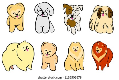 A set of illustrations of dogs. Lovely pets. Dogs of small breeds. Shih tzu, Pomeranian Pomeranian, Maltese lapdog and others.