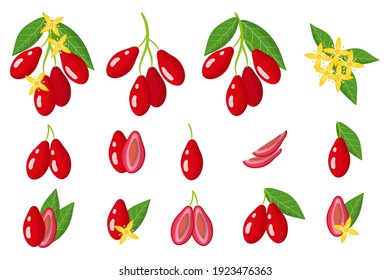 Set of illustrations with dogwood exotic fruits, flowers and leaves isolated on a white background. Isolated vector icons set. svg