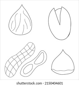 Set of illustrations doodle nuts. Peanuts, almonds, hazelnuts and pistachios