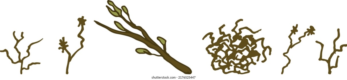 A set of illustrations of dried plants with an outline. Twig, tumbleweed, dry grasses and bushes, eps ready for use. For your design