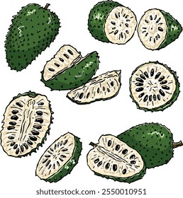 conjunto de ilustrações de fruto de sop exótico