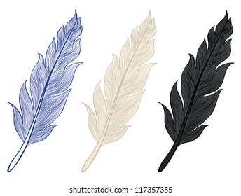 A set of illustrations of feathers