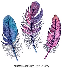 Set of illustrations with feathers. Watercolor and contour.