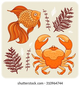 Set of illustrations of fish, crabs and seaweed.