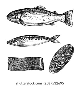 A set of illustrations with fish, trout, mackerel, pieces of fish. Vector, hand-drawn graphics. Black and white image of seafood. Separate from the background. For menus, recipe books, packages, label