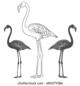 Set of illustrations of flamingos. Isolated vector black and white objects on white background.