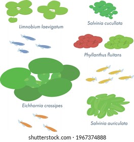 Set of illustrations of floating grass in isometric design