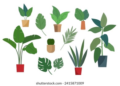Conjunto de ilustraciones de macetas de flores y plantas aisladas en un fondo blanco. Ilustración vectorial.