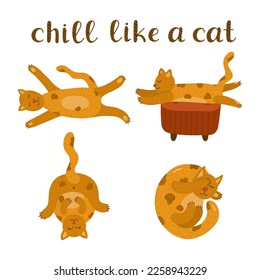 Set of Illustrations with fluffy sleepy cat and funny lettering Chill Like a Cat. Cute kitty character lying in different funny poses. Kawaii lazy kitten is perfect for print, stickers, t-shirts.