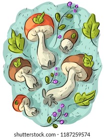 Set illustrations with forest mushrooms, berries and leaves, boletus