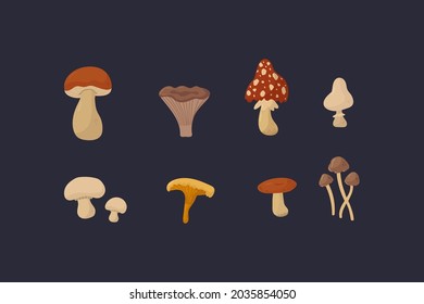 A set of illustrations with forest mushrooms. Vector drawing with Mushrooms. A collection of edible and toxic mushrooms on a dark background. Beautiful natural organic products for design. Vector illu