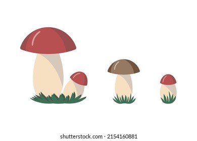 Reihe von Illustrationen von Waldpilzen. Vektorgrafik