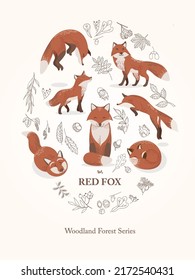 A Set of Illustrations of a Fox in Various Poses, Various Movements as an Action Study, Decorated with Line Art Style Drawings of Hazelnut, Oak, Rowan, Chestnut, Willow, Maple leaves and seeds.