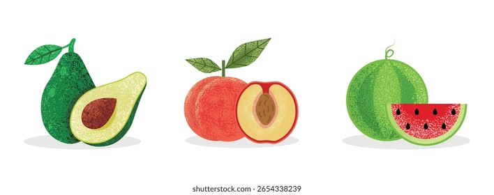 Conjunto de ilustrações com frutas. Melancia, pêssego e abacate. Ícones isolados de frutas vetoriais. Ilustração com efeito de grão