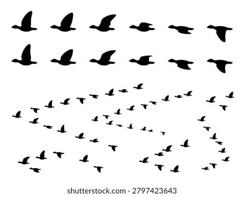 A set of illustrations of geese flapping their wings and in flocks