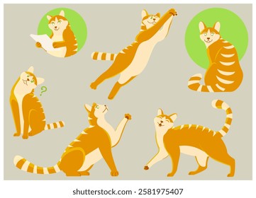 A set of illustrations of a ginger cat in different poses. The illustrations are done in a minimalist cartoon style with soft shadows and warm tones. Perfect for stickers, prints, children's books