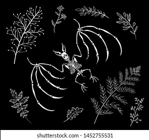 A set of illustrations for Halloween. A bats' skeleton and magic herbs. For tattoo, print on t-shirt and more. Happy Halloween!