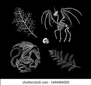 Set of illustrations for Halloween. Magic creatures. Skeletons of a dragon and unicorn, a skull and magic herbs. Design elements.