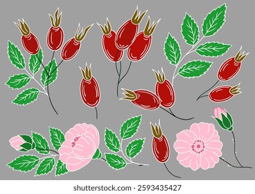 Set of illustrations in hand draw style