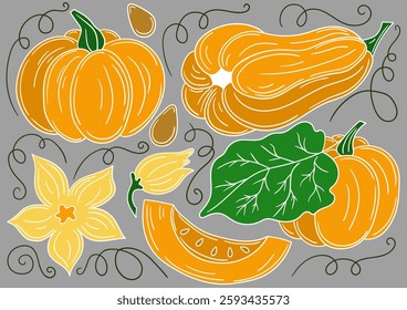Set of illustrations in hand draw style