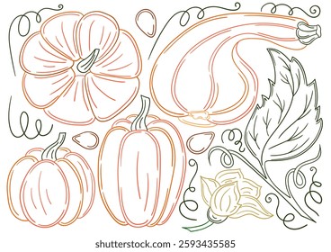 Set of illustrations in hand draw style