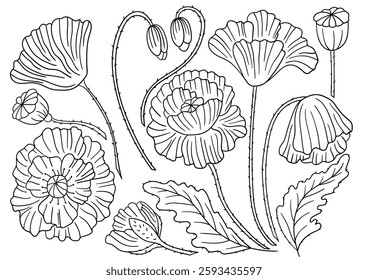 Set of illustrations in hand draw style