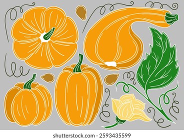 Set of illustrations in hand draw style