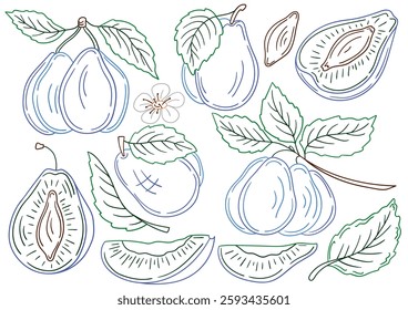 Set of illustrations in hand draw style