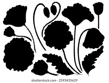 Set of illustrations in hand draw style