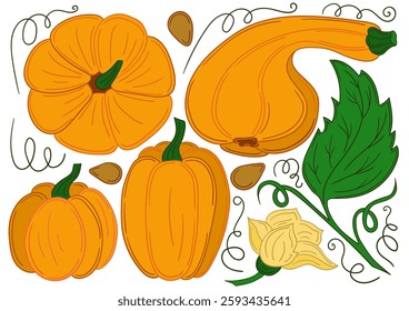 Set of illustrations in hand draw style