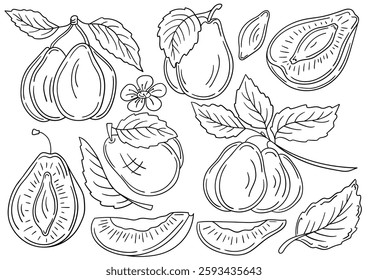 Set of illustrations in hand draw style