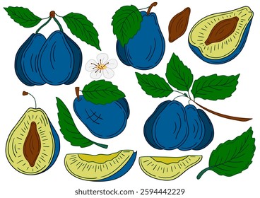 Set of illustrations in hand draw style