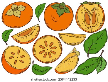 Set of illustrations in hand draw style