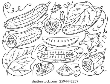 Set of illustrations in hand draw style