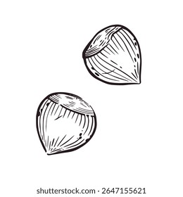 A set of illustrations, hazelnuts, hazelnuts hand-drawn in vector ink. The illustration is suitable for printing on food packaging, store decor, printing on fabric and paper.