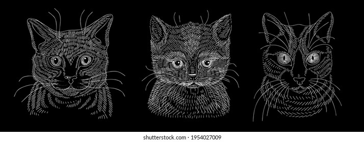 A set of illustrations of the head of a cat or kitten. A sketch drawn in white chalk on a blackboard.