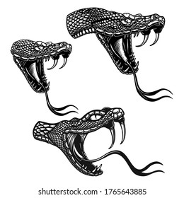Set of illustrations of heads of poisonous snake in engraving style. Design element for logo, label, sign, poster, t shirt. Vector illustration