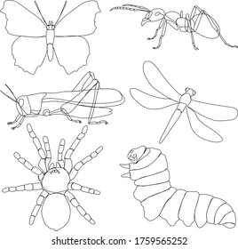 conjunto de ilustraciones de insectos al estilo de un patrón lineal.