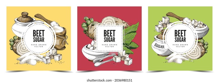 Set of illustrations with labels and place for text and beet sugar on background. A hand drawn collection of vector backgrounds with illustrations of sugar beet, sugar bowl, bag of sugar. Sketch for