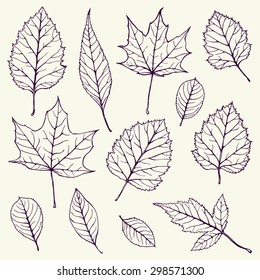 Set of illustrations with leaves. Contour.