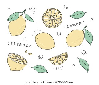 Eine Reihe von Illustrationen von Zitronendoodles.
Diese Illustrationen haben Elemente von Obst, Zitrusfrüchten, Halbierung, Schnitt, Nahrung, Saft, etc.
