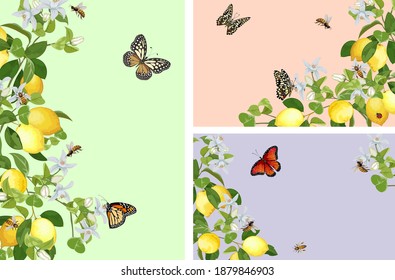 Set of illustrations with lemons and insects.Branches of lemons, butterflies and bees in a collection of color illustrations.