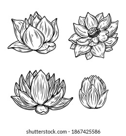 Set of Illustrations of lotus flower in engraving style. Design element for emblem, sign, poster, card, banner, flyer. Vector illustration