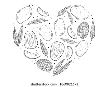 A set of illustrations of mango fruits in different types and leaves of the mango tree. Black contour
 are isolated on a white background. Doodle style.
